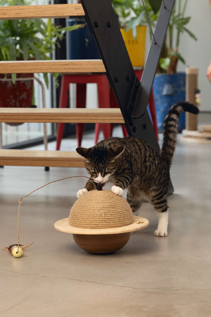 Designed by Lotte Holz-Kratzball Wiggly